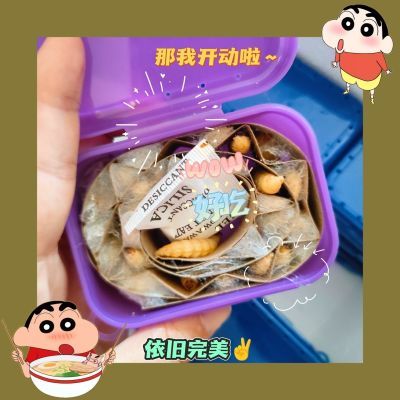 鲜活大玉米虫蝈蝈食饲料蝈蝈粮蝈蝈食物蝈蝈活竹蛉鸣虫保温箱