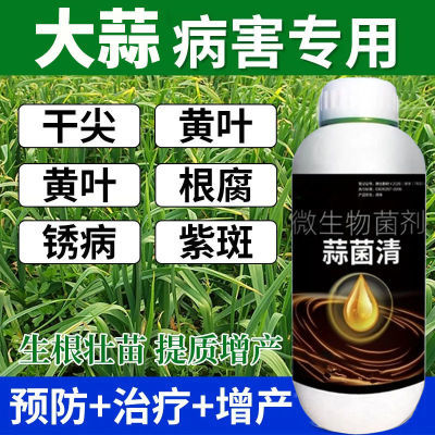 正品大蒜菌清原液大蒜种植专用微生物肥生根养根粗壮营养水溶肥料