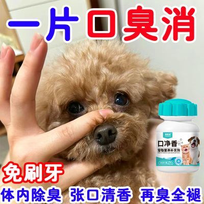 狗狗狗除口臭口腔清洁除臭益生菌洁齿片嘴巴猫咪调理肠胃清新口气