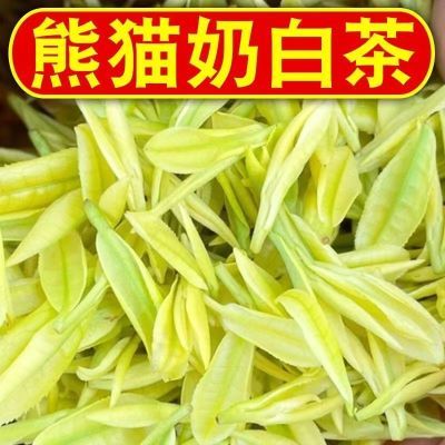 【熊猫奶白茶】2024新茶特选正品浓香奶香白茶黄金芽大份罐装袋装