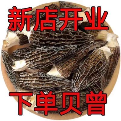 【产地直发】正品云南羊肚菌新鲜特级一等品煲汤农家特产滋补养生