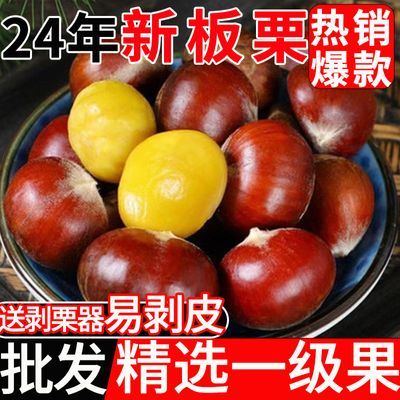 【突然降价】新鲜丹东板栗生栗子批发野生毛栗非油栗当季3斤/6斤