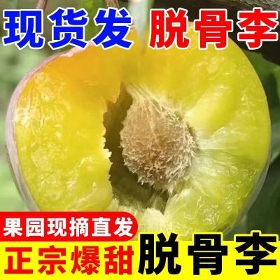 超划算】正宗四川脱骨李青脆正品半边红脆红李冰糖李空心新鲜水果