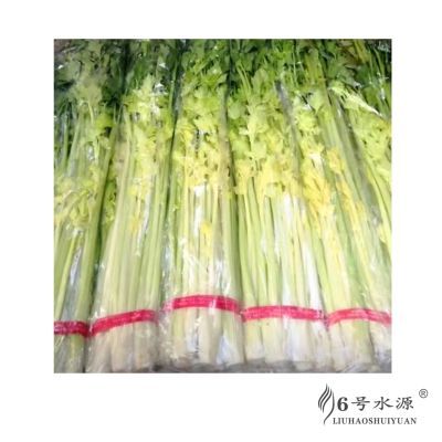 正宗马家沟芹菜5斤新鲜萃爽可口大空心可生吃的芹菜