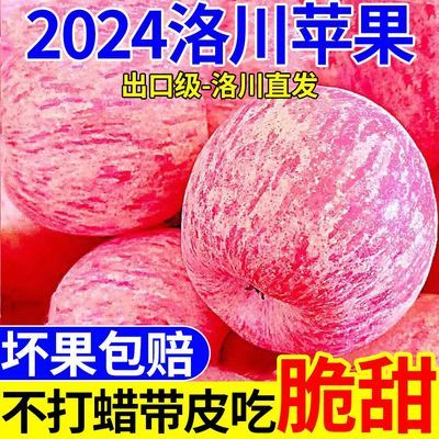 超低价】陕西洛川红富士苹果新鲜应季脆甜苹果整箱批发5斤小果