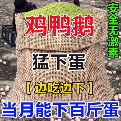 (家禽产蛋不停歇)鸡鸭鹅通用催蛋素增蛋饲料禽用蛋下蛋多蛋大饱满