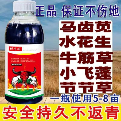 精草铵铵盐除草剂果园正品强效除草剂恶性杂草除草除根牛筋草农用