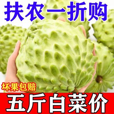 【爆甜】牛奶凤梨释迦果新鲜水果佛头果应季水果释迦摩尼樟林林檎