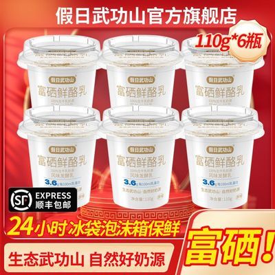 假日武功山鲜奶源3.6g乳蛋白富硒酸奶原味鲜酪乳风味发酵乳低