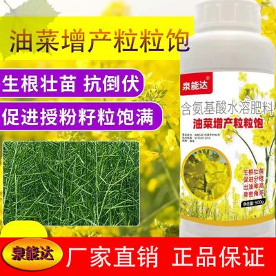 油菜丰产粒粒提高出油率促花授粉抗倒伏籽粒饱满氨基酸专用叶面肥