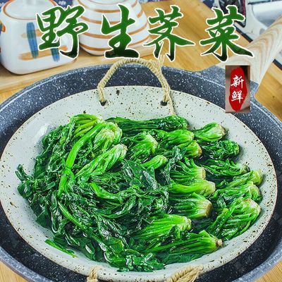 冷冻荠菜野生野菜新鲜馄饨荠菜速冻水饺荠荠菜馅食材免洗农家