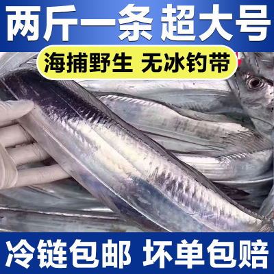 带鱼特大新鲜野生整条无破肚整箱批发新鲜鲜活野生小眼带无冰刀鱼