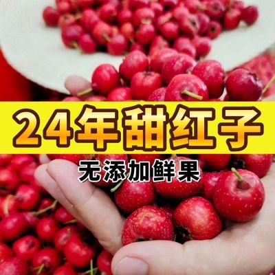 2024年新鲜山楂糖葫芦专用甜红子水果山楂酸甜开胃产地直发甜