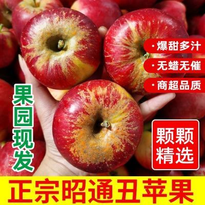 冰糖心苹果正宗昭通丑苹果红富士新鲜脆甜应季批发当季整箱包邮