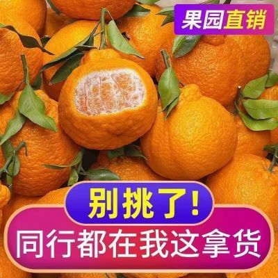 【10斤】现摘丑柑桔子应季新鲜水果批发价假丑橘不知火春见耙耙