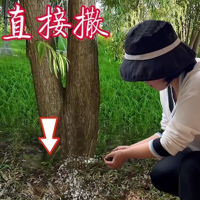 正品环嗪酮大树颗粒除草剂开荒地杂草除草用农药批发除草