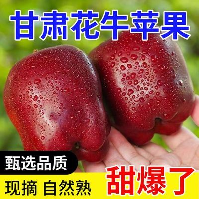 【精品花牛】正宗花牛苹果新鲜水果应季粉面蛇果脆甜非红富士批发