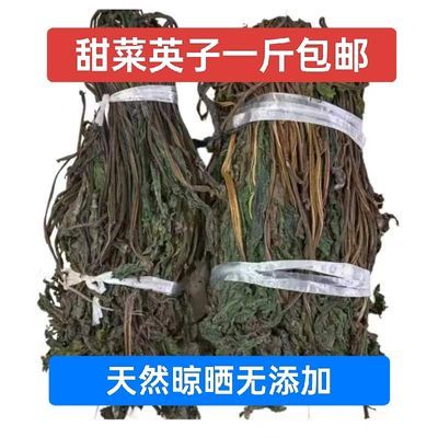 2024年东北特产农家新干菜甜菜英子零脂手工无添加自然晾晒蘸