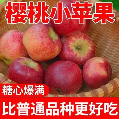 樱桃小苹果正宗新鲜采摘不打蜡苹果应季水果当季冰糖心水果脆甜心