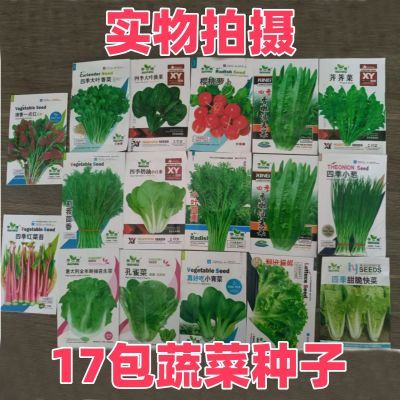 特价17种不重复蔬菜种子大全组合原装阳台盆栽小葱生菜香菜菠菜籽