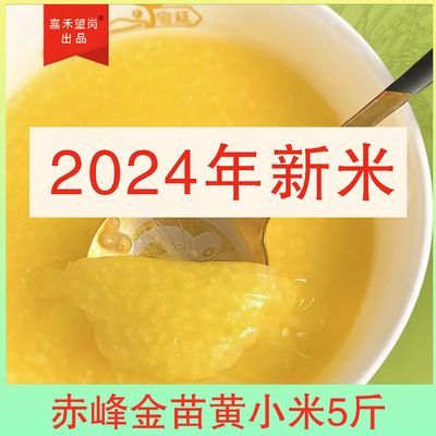 24年赤峰小米大金苗小米农家新米油脂黄小米黏稠软糯五谷杂粮正