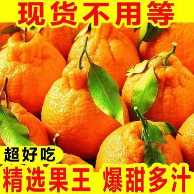 【10斤】现摘丑柑桔子应季新鲜水果批发价假丑橘不知火春见耙耙柑