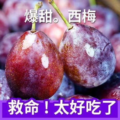 【清仓处理】爆甜宁夏大西梅新鲜孕妇水果西梅鲜果甜西梅李子批发