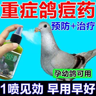 鸽痘药特效【一喷痘不见】冶子眼角嘴角脚趾长鸽痘信鸽赛鸽子药