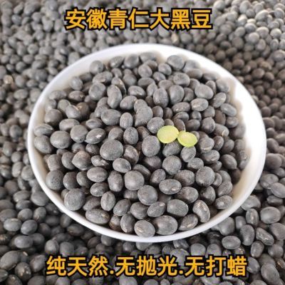 安徽绿心大黑豆非转基因打豆浆专用农家自种绿芯黑豆青仁乌豆特级