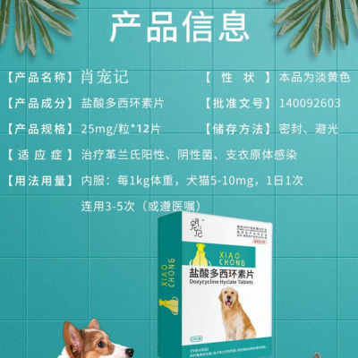 猫鼻支猫疱疹特效药多西环素泛昔片猫鼻支专用药猫咪感冒药支原体