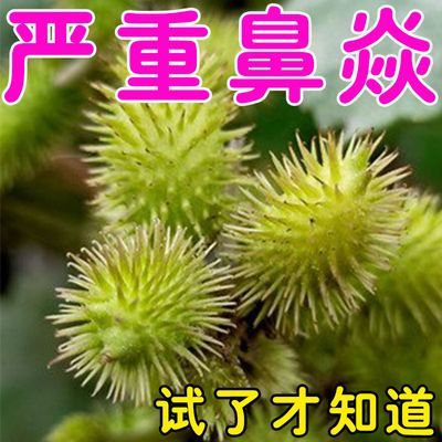 【新疗法】鼻焱鼻子干涩鼻痒鼻子不通气有异物感鼻涕倒流鼻窦焱L