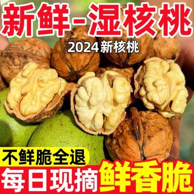 【新鲜现摘】云南四川新鲜湿核桃去青皮嫩核桃生核桃大果孕妇包邮