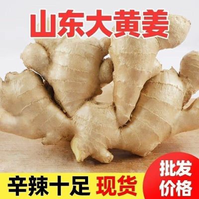 【出口品质】新鲜姜生姜种批发姜特价新鲜老姜生姜老姜大黄姜