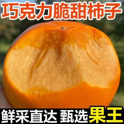 正宗脆柿子巧克力柿子脆甜现摘新鲜应季水果生吃阳丰脆柿整箱批发