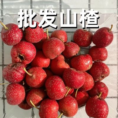 新鲜山楂果特级水果整箱批发现摘现发农家自产糖葫芦专用酸甜开胃