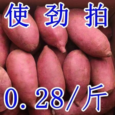 【超便宜】糖心蜜薯沙地蜜薯红薯新鲜现挖地瓜番薯批发价超甜无丝