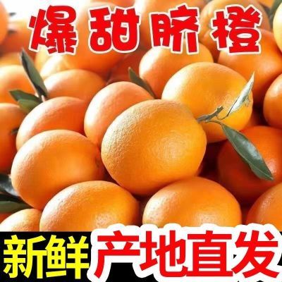 【首单立减】正宗赣南早脐橙新鲜应季现摘手剥甜橙子整箱批发