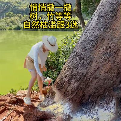 强效环嗪酮快速除草斩草除根药除草连根烂农用5%农作物除草剂颗粒