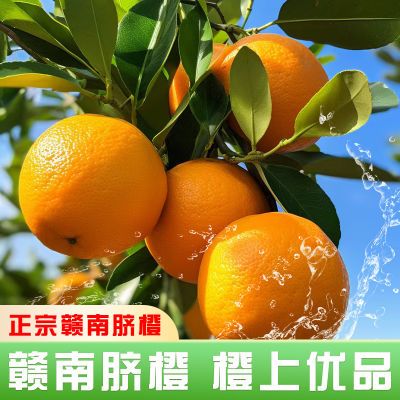 【首件立减】正宗赣南早脐橙当季橙子新鲜水果纽荷尔手剥甜橙子