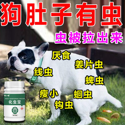 宠物驱虫药狗狗驱虫药猫咪厌食不吸收家用驱虫寄生蛔虫体外同驱药