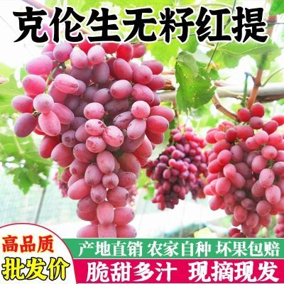 新鲜脆甜无核红提,克轮生葡萄,金手指无籽红提