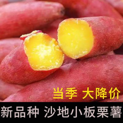 大降价】板栗红薯沙地地瓜干面粉糯宝宝辅食老少皆宜当季新鲜番薯