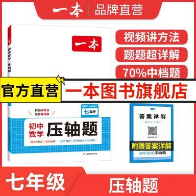 2025一本官方旗舰店初中数学压轴题七八九年级中考数学有理数方程