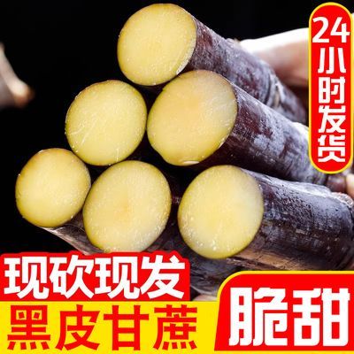 正宗广西黑皮甘蔗去头去尾薄皮超级甜老品种整捆甜杆新鲜甘蔗批发