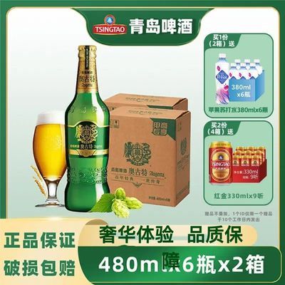 【2箱】青岛啤酒奥古特啤酒480ml*6瓶*2箱  瓶装整箱 官方直发