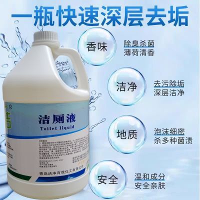 高效特效洁厕剂DFF018马桶清洁剂卫生间高效洁厕剂商用大桶洁厕剂