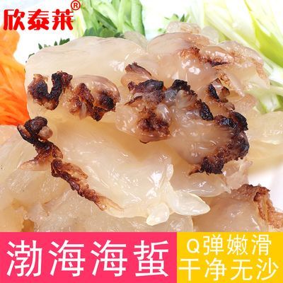 直发野生海蜇头海蜇桶装即食海鲜凉拌菜批发