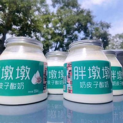 胖墩墩奶皮子酸奶550克牧区手工孕妇儿童零食内蒙古特产水果捞