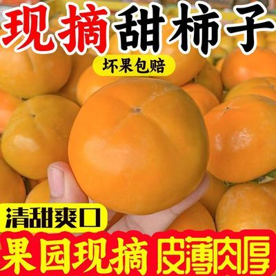 陕西葫芦家脆柿子正宗甜柿新鲜应季水果现摘生吃脆甜黄柿整箱批发