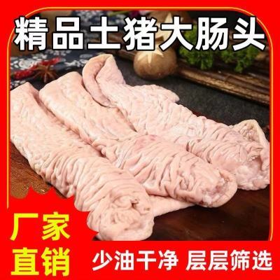 【新货】新鲜冷冻大肠头农家土猪大肠头干净免冼 带冰带油商用